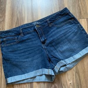 Time and Tru Size 18 Denim Shorts, Gently Used